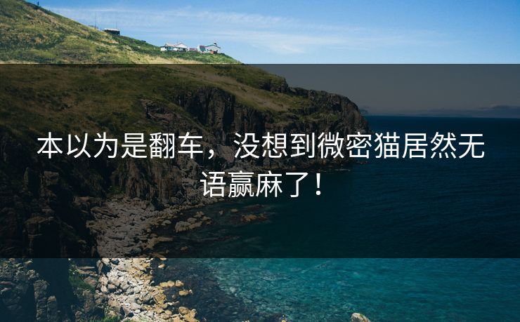 本以为是翻车，没想到微密猫居然无语赢麻了！