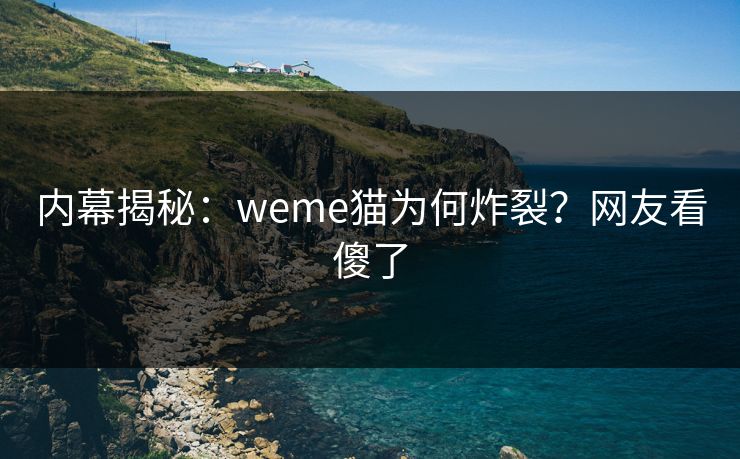 内幕揭秘：weme猫为何炸裂？网友看傻了