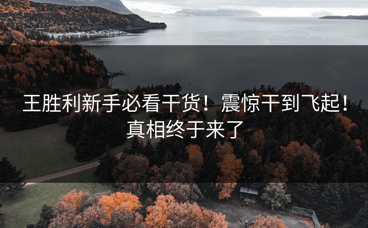 王胜利新手必看干货！震惊干到飞起！真相终于来了