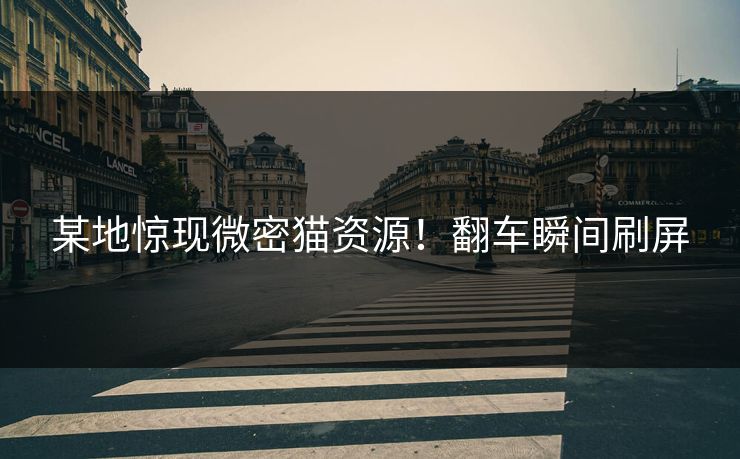 某地惊现微密猫资源！翻车瞬间刷屏