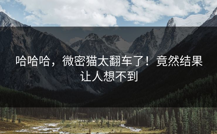 哈哈哈，微密猫太翻车了！竟然结果让人想不到