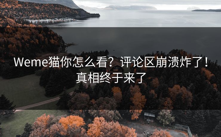 Weme猫你怎么看？评论区崩溃炸了！真相终于来了