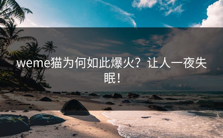 weme猫为何如此爆火？让人一夜失眠！