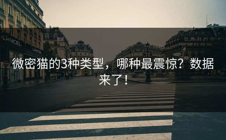 微密猫的3种类型，哪种最震惊？数据来了！