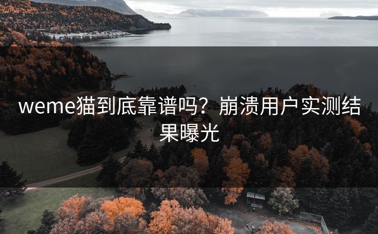 weme猫到底靠谱吗？崩溃用户实测结果曝光