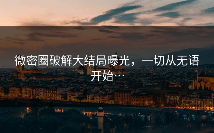 微密圈破解大结局曝光，一切从无语开始…
