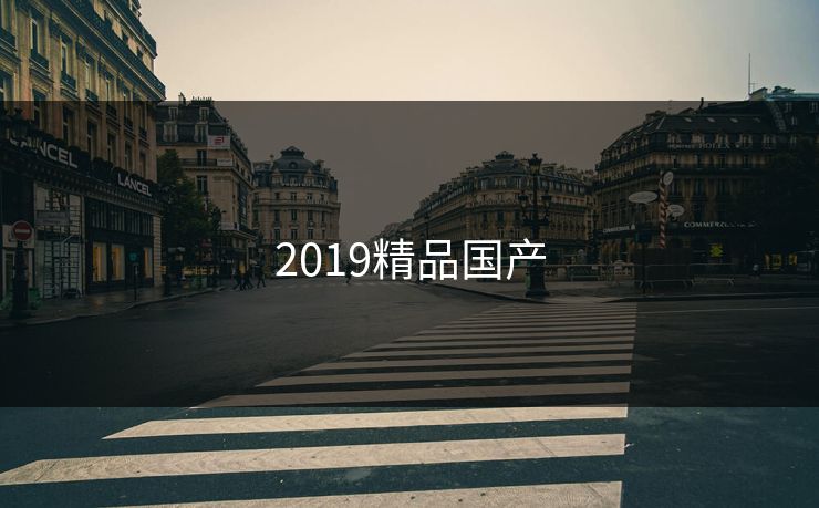 2019精品国产