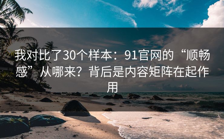 我对比了30个样本：91官网的“顺畅感”从哪来？背后是内容矩阵在起作用