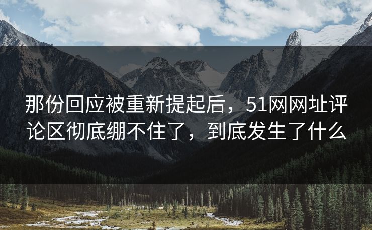 那份回应被重新提起后，51网网址评论区彻底绷不住了，到底发生了什么