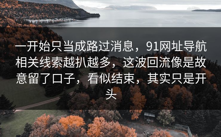 一开始只当成路过消息，91网址导航相关线索越扒越多，这波回流像是故意留了口子，看似结束，其实只是开头